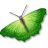  'insect'