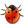  'ladybird'