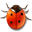  , , , , , ladybird, insect, bug, animal 32x32