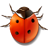  , , , , , ladybird, insect, bug, animal 48x48
