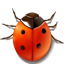 , , , , , ladybird, insect, bug, animal 64x64