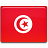  , tunisia, flag 48x48