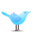  , , twitter, standing, bird, animal 48x48