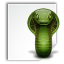  'python'