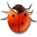  , , , , ladybird, insect, bug, animal 128x128