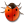  , , , , ladybird, insect, bug, animal 24x24