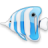  , , fish, animal 48x48
