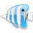  bluefish 48x48