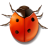  , , , , ladybird, insect, bug, animal 48x48