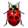  , , , , ladybird, insect, bug, animal,  ,  ,   ,  ladybird,  insect,  bug 32x32