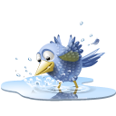  , , , water, twitter, tweet, pool, bird 128x128