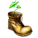  ', shoe, plant, boot'