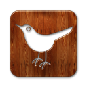  , twitter, square, bird 128x128