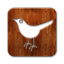  , twitter, square, bird 64x64