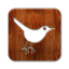  , twitter, square, bird3 64x64