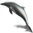  , , dolphin, animal 128x128